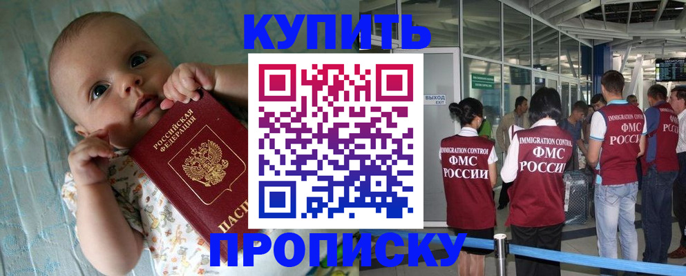 прописка штамп в Козельске